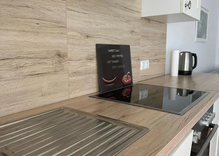 Apartment Location Business Zwei Exklusive Am Phoenixsee Dortmund